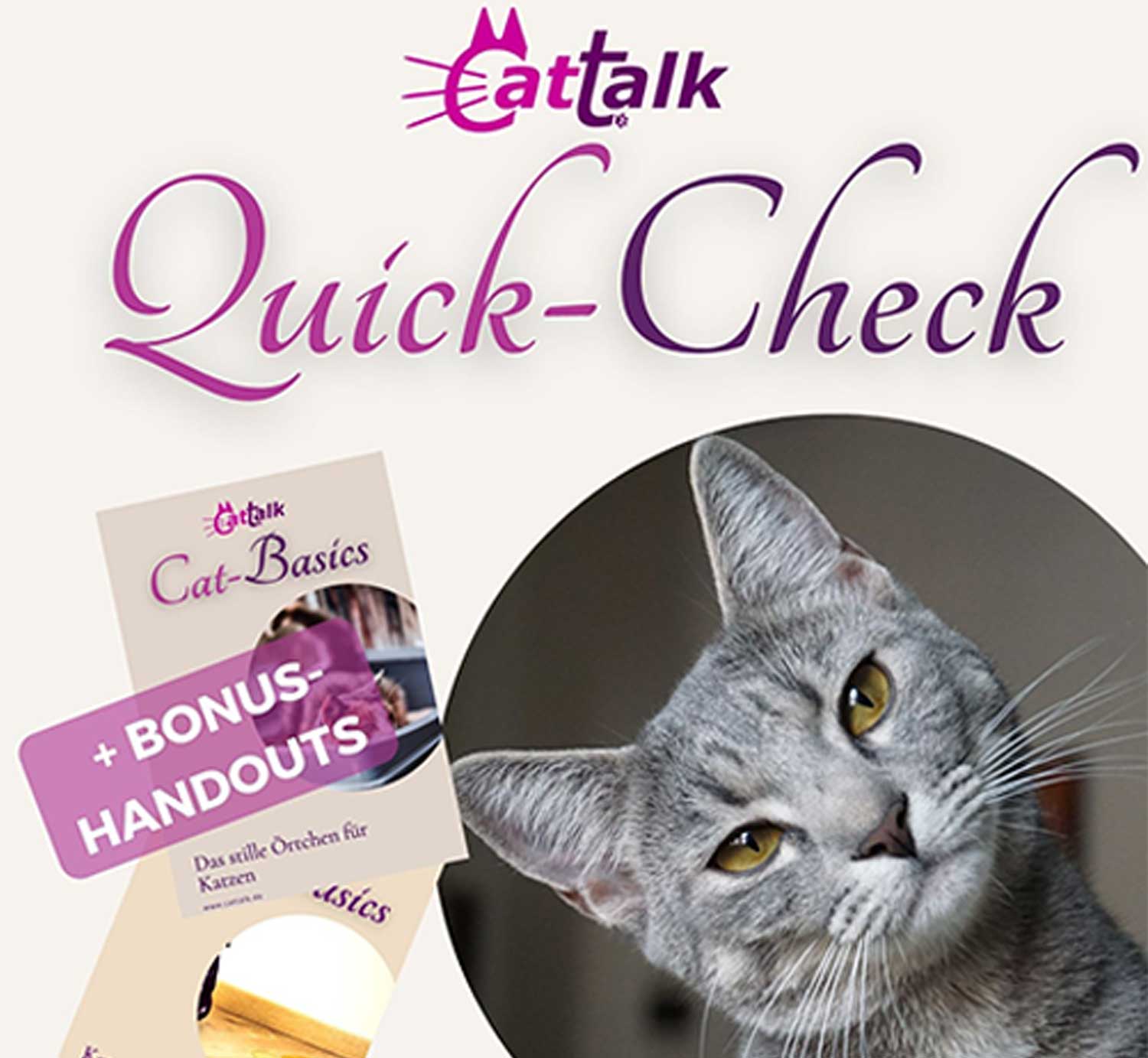 Toiletten QuickCheck bei Unsauberkeit von Katzen