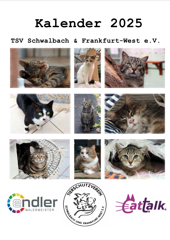 Deckblatt des Katzenkalender 2025