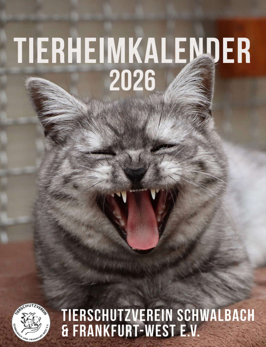 Tierheim-Kalender 2026 Deckblatt Tierheim-Kalender 2026
