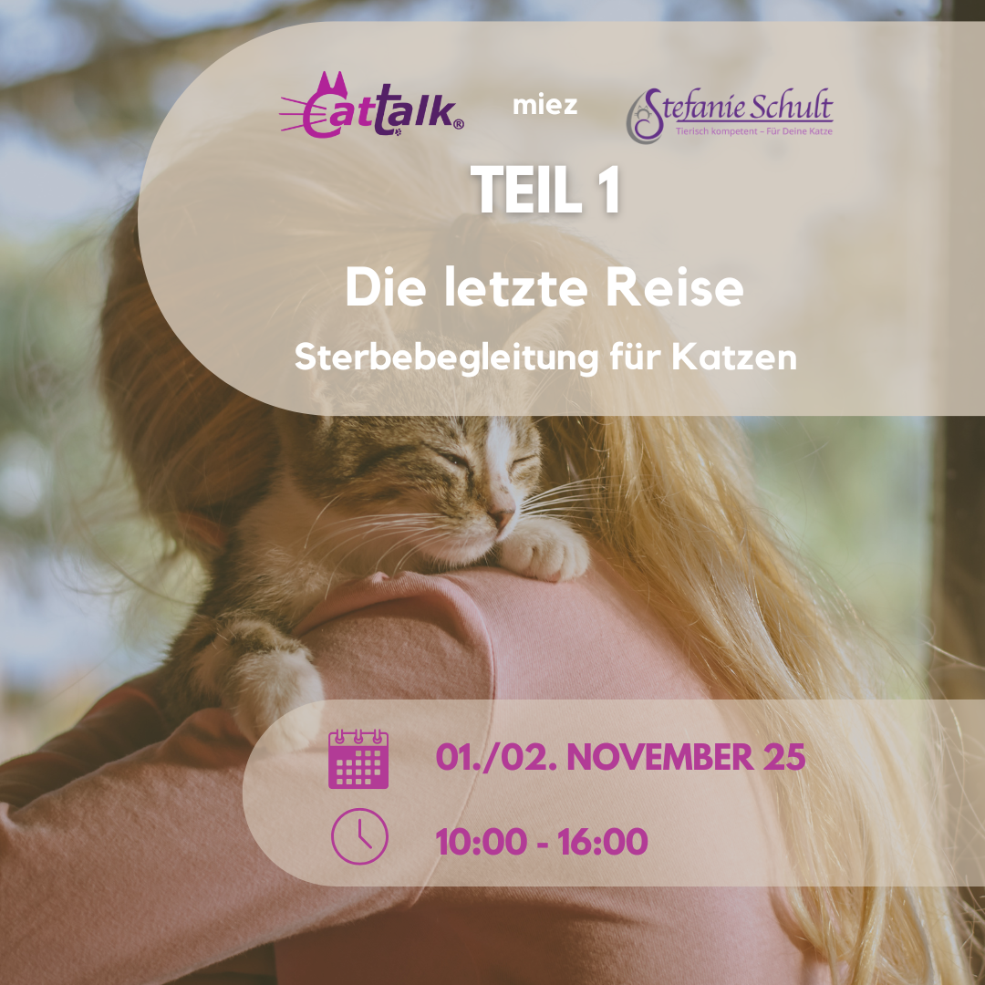 Webinardaten: Sterbebegleitung Katze 1