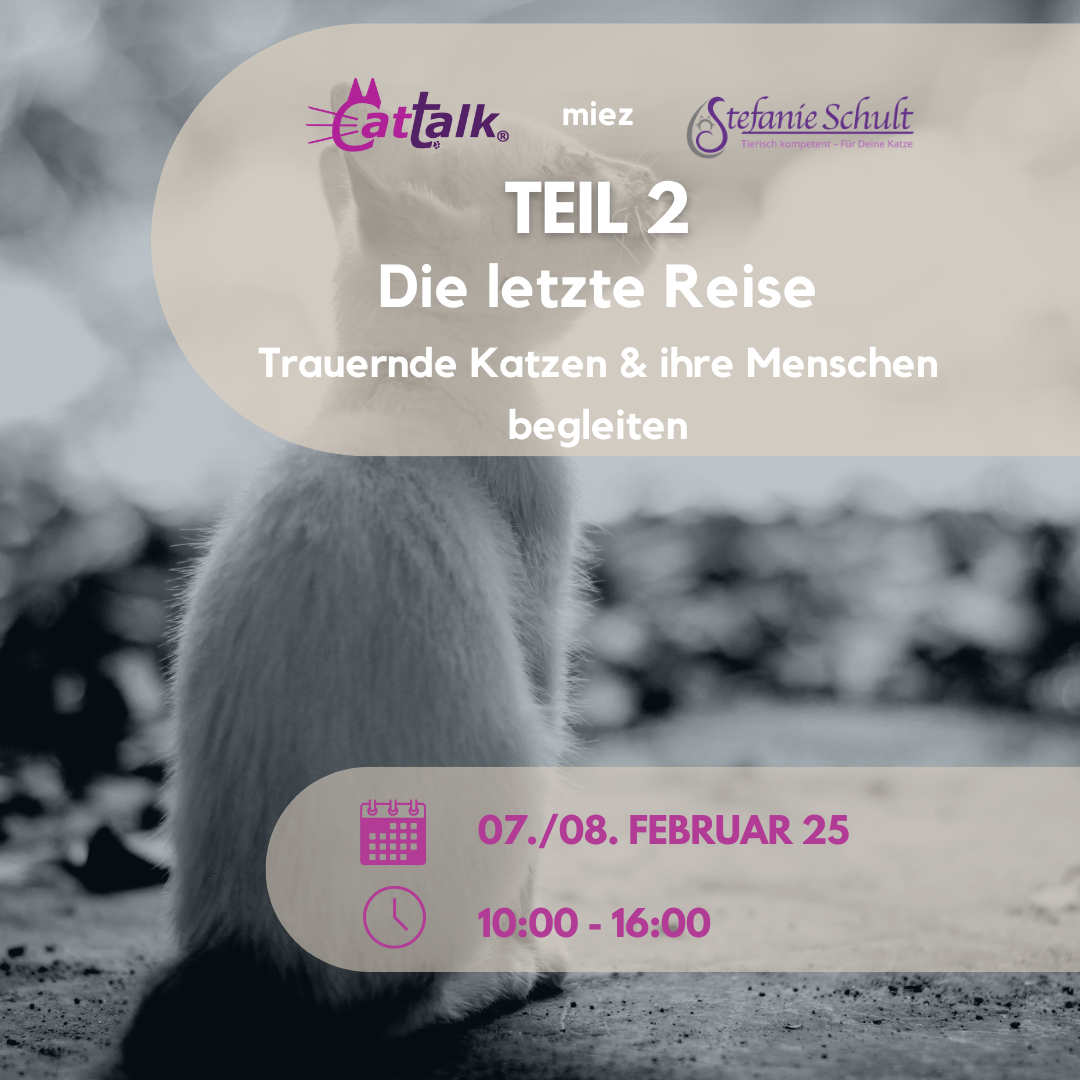 Webinardaten Trauerbegleitung Katze