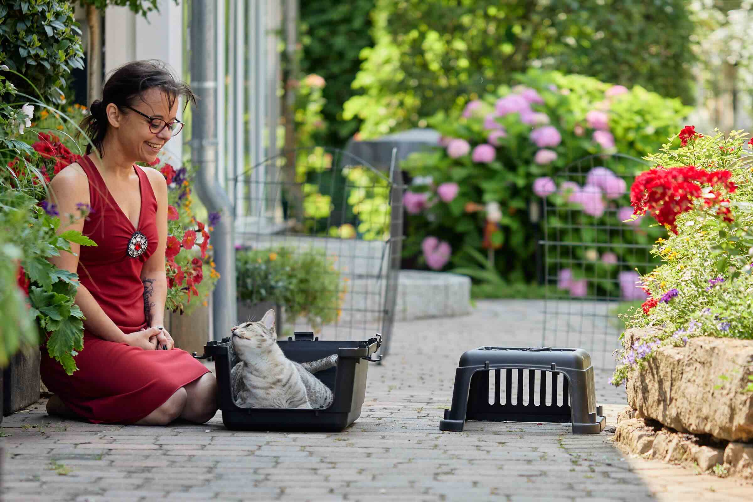 Medical Training: Carmen hockt neben der Unterschale einer Transportbox, wo Katzendami Batida entspannt liegt.