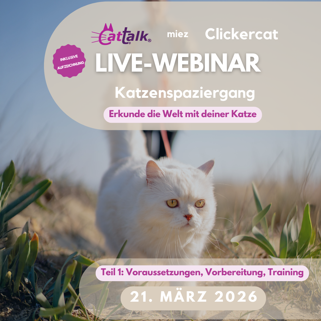 Das Bild zeigt Kater Louis an der Leine und die Daten des Webinars.