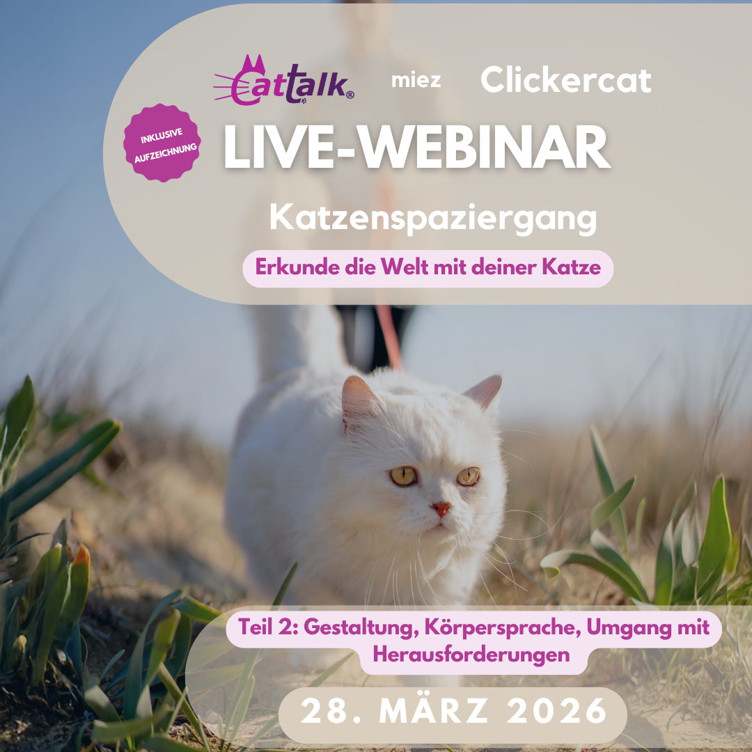 Das Bild zeigt Kater Louis an der Leine und die Daten des Webinars.